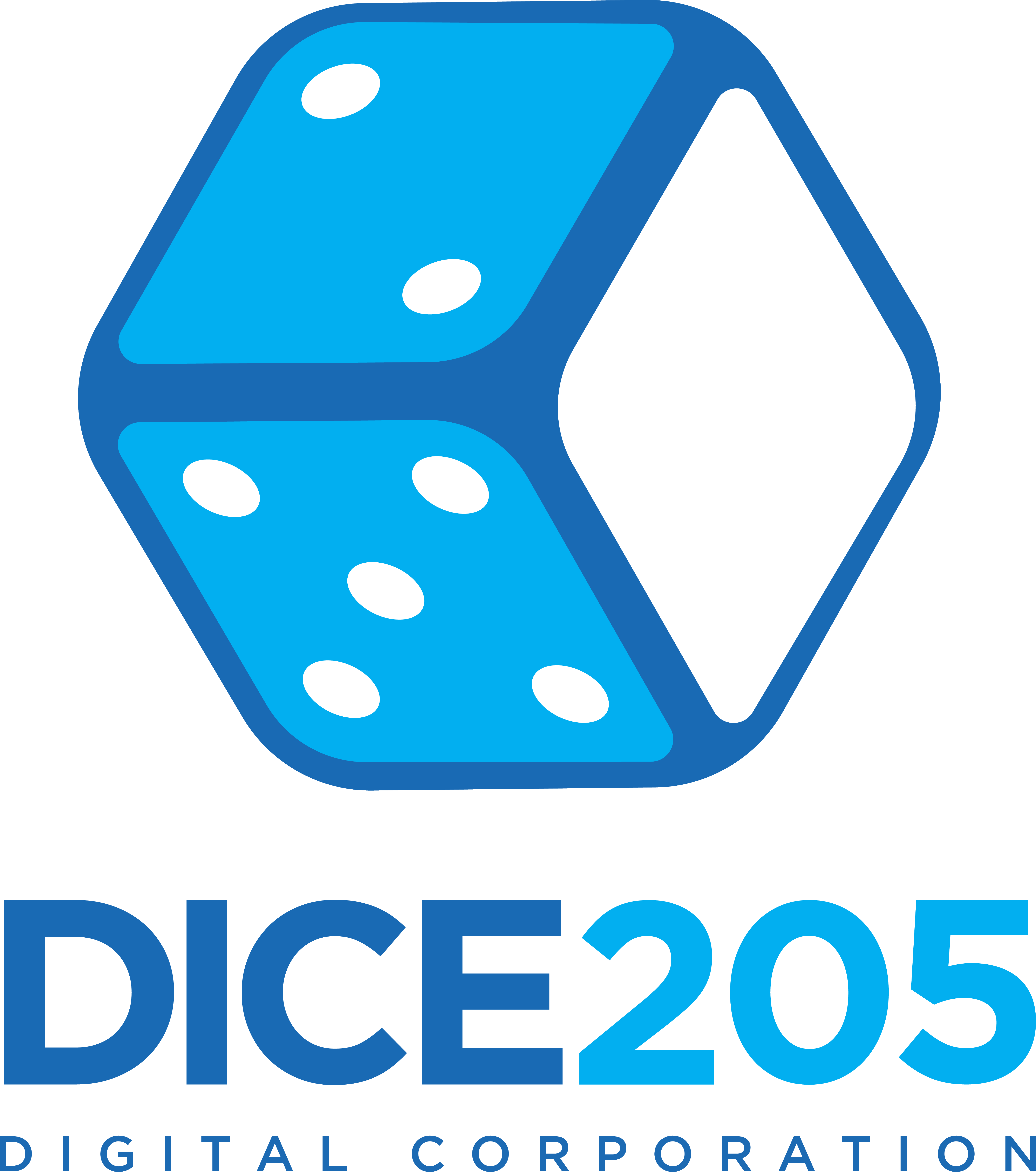 DICE205 Digital Corporation Logo Vertical