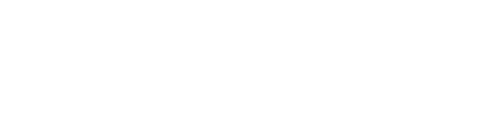 Logo of Dice 205 company